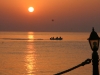 amara2006-085