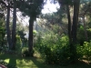 ambianta-3